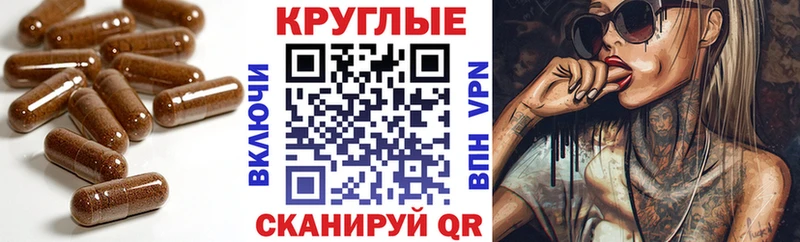 цена   Юхнов  hydra маркетплейс  darknet Telegram  ЭКСТАЗИ 250 мг 