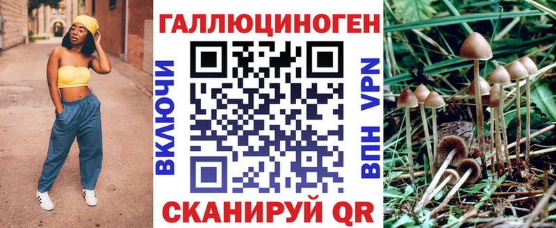 купить закладку  Юхнов  Псилоцибиновые грибы Magic Shrooms 